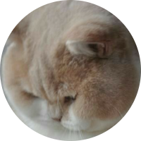 DP
